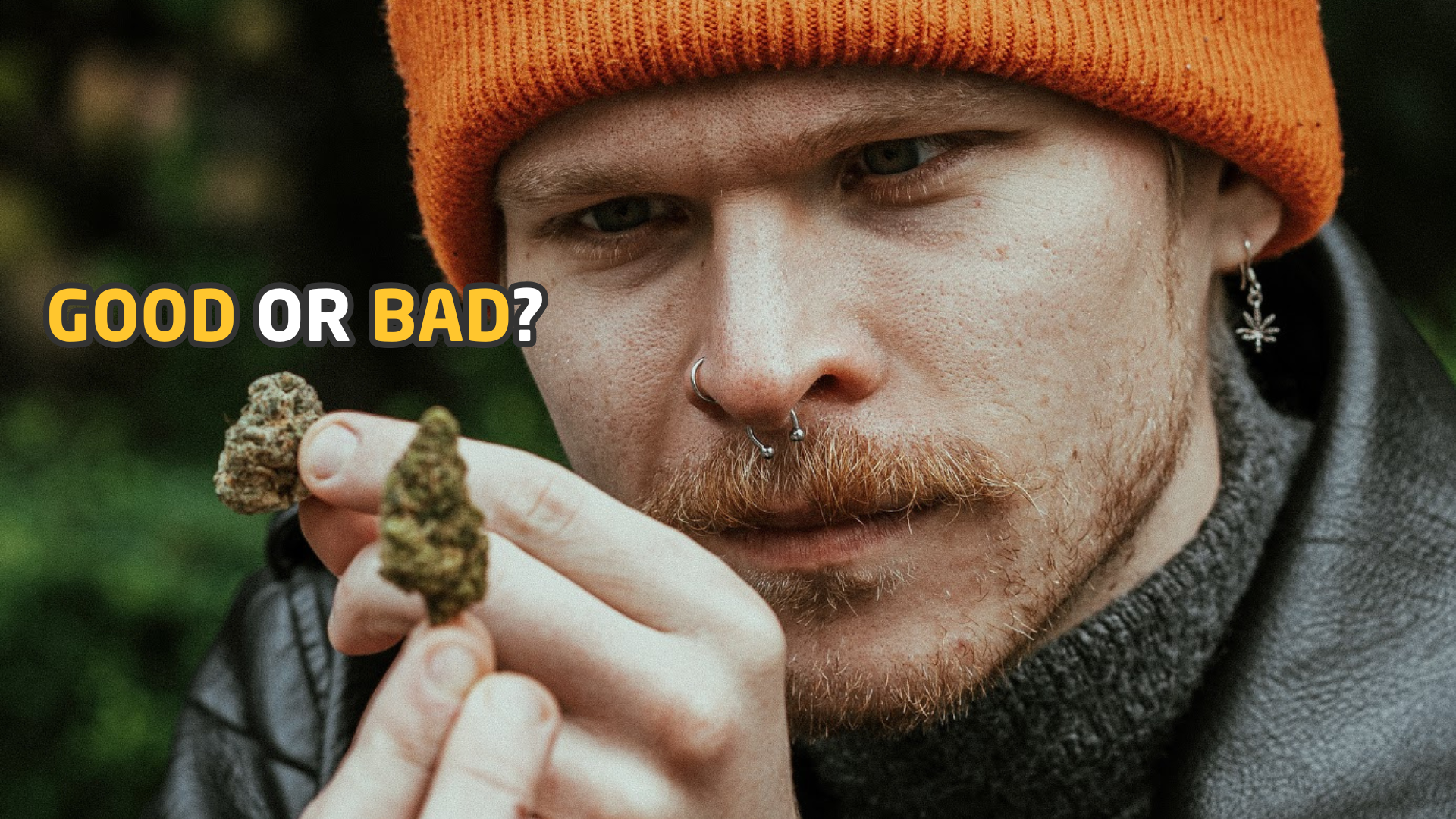 Collection of Good or bad weed? A Sensemillier Guide to Sensory Cannabis Quality in a gallery layout